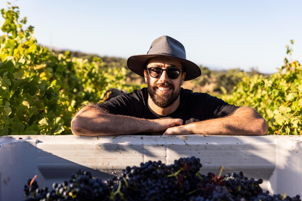 Whistler Wines